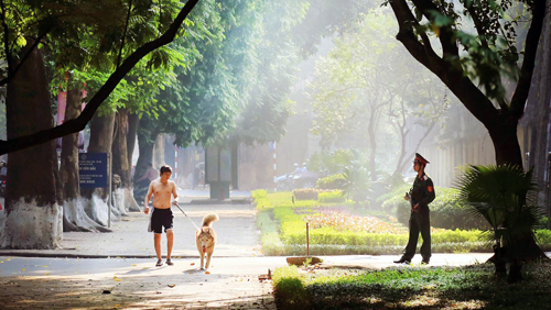 Romántica belleza de las calles hanoyenses en otoño